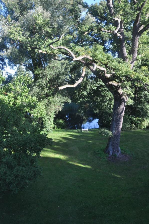 Gartenzimmer Im Schloss Neuhausen Neuhausen  Eksteriør billede