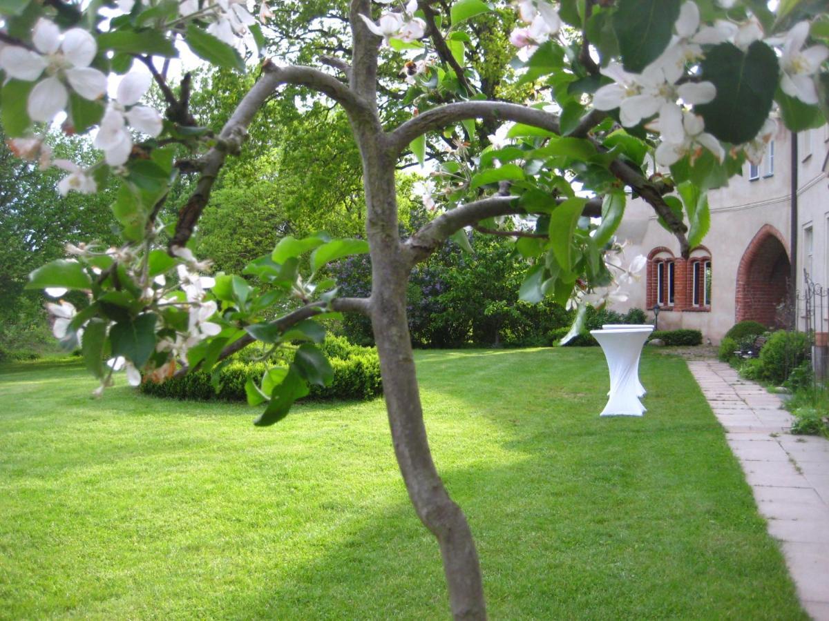 Gartenzimmer Im Schloss Neuhausen Neuhausen  Eksteriør billede