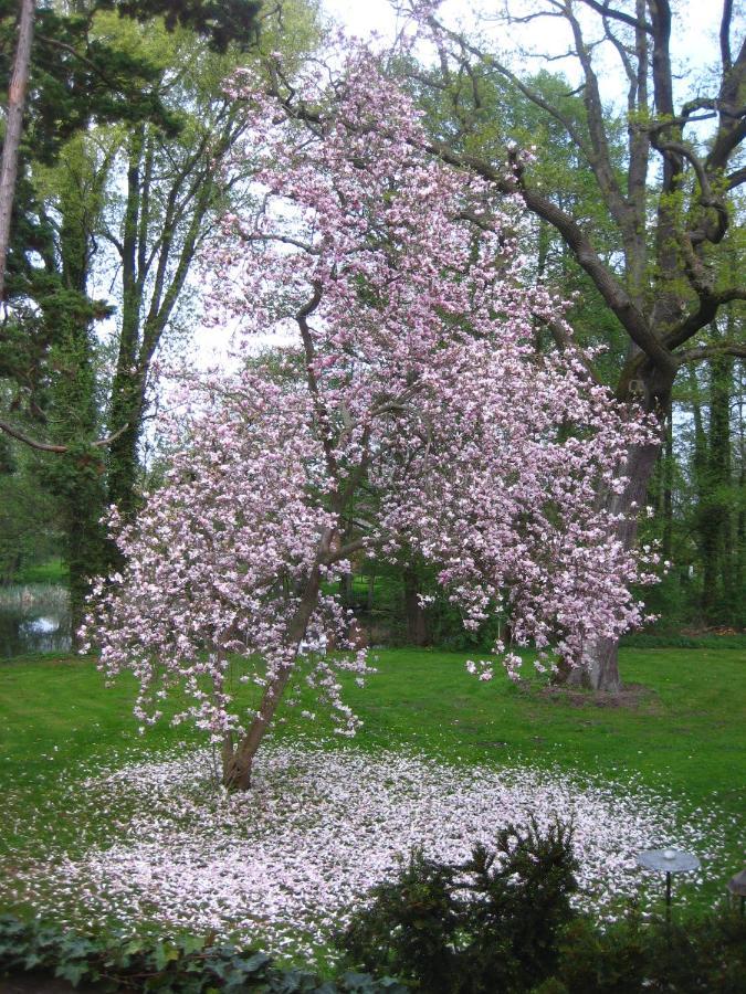 Gartenzimmer Im Schloss Neuhausen Neuhausen  Eksteriør billede