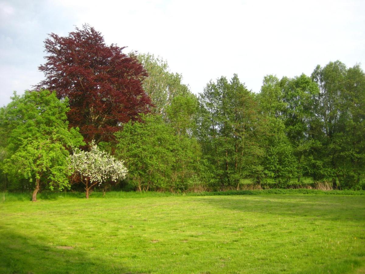 Gartenzimmer Im Schloss Neuhausen Neuhausen  Eksteriør billede