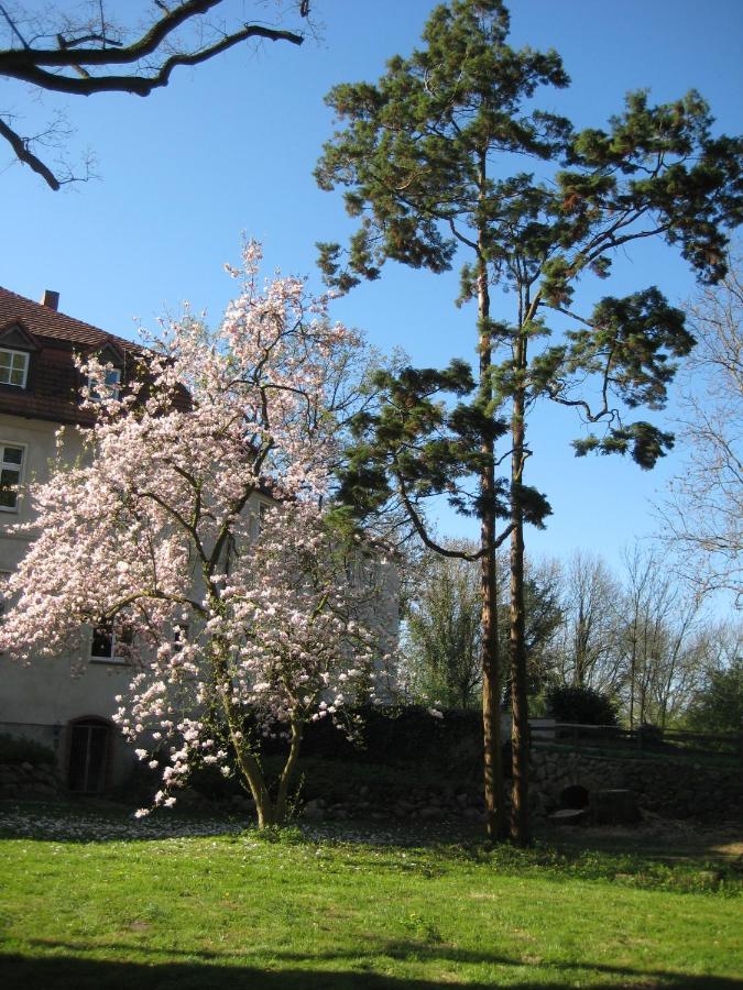 Gartenzimmer Im Schloss Neuhausen Neuhausen  Eksteriør billede